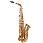 Ficha técnica e caractérísticas do produto Saxofone Alto Profissional Laqueado Eb AUBSX16 Auburn