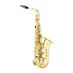 Ficha técnica e caractérísticas do produto Saxofone Alto Quasar Qas 101 L