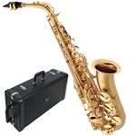 Ficha técnica e caractérísticas do produto Saxofone Alto SA500 BGD Eagle Dourado Escovado em Mib com Case