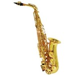 Saxofone Alto Shelter Sft6430l em Mib (Eb) com Case
