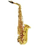 Ficha técnica e caractérísticas do produto Saxofone Alto Shelter Sgft6430l Laqueado Dourado Em Eb C/ Estojo