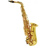 Saxofone Alto Shelter Tjs 6430L Dourado com Case