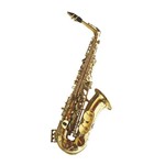 Csr - Saxofone Alto Afinação Eb com F# Laqueado + Estojo Sx1