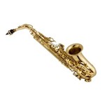 Ficha técnica e caractérísticas do produto Saxofone Alto Vogga Vsas701