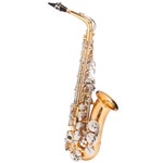 Ficha técnica e caractérísticas do produto Saxofone Alto WASM49 EB Duplo Dourado e Chaves Niqueladas - Michael