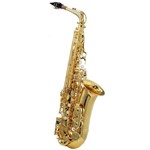 Ficha técnica e caractérísticas do produto Saxofone Alto WASM35 EB Laqueado - Michael