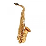 Saxofone Alto Winner Mib Dourado com Case em ABS