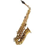 Ficha técnica e caractérísticas do produto Saxofone Alto Wsa Gd Eb Laqueado Waldman