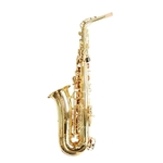 Ficha técnica e caractérísticas do produto Saxofone Sax Alto Dolphin Eb Mib Laqueado Dourado