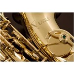 Ficha técnica e caractérísticas do produto Saxofone Sax Alto Eagle Sa 501 em Mib