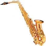 Saxofone Sax Alto Michael Dourado Wasm48 em Eb com Case