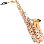 Saxofone Sax Alto Michael Dourado Wasm49 em Eb com Case