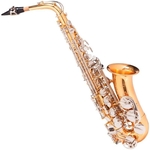 Ficha técnica e caractérísticas do produto Saxofone Sax Alto Michael Dourado Wasm49 em Eb Com Case