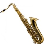 Saxofone Tenor com Afinação em Bb Laqueado Hts100l Harmonics