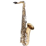 Saxofone Tenor MICHAEL Dourado (Dual Gold) com Chaves Niqueladas - WTSM49