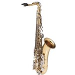 Ficha técnica e caractérísticas do produto Saxofone Tenor Michael Dual Gold - Wtsm49