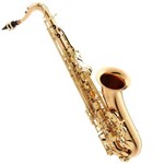 Saxofone Tenor Profissional em Sib Stx513 Eagle com Case