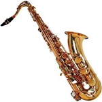 Saxofone Tenor Shelter Laqueado Dourado Sgft6435l C/ Case