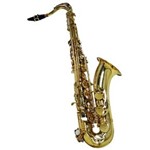 Saxofone Tenor Shelter Sft6435l Laqueado em Bb com Estojo