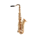 Ficha técnica e caractérísticas do produto Saxofone Tenor Si Bemol Prowinds Laqueado