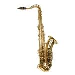 Ficha técnica e caractérísticas do produto Saxofone Tenor TS-200 Laqueado New York