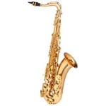 Ficha técnica e caractérísticas do produto Saxofone Tenor Wtsm48 BB Duplo Dourado - Michael