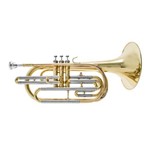 Ficha técnica e caractérísticas do produto Trombone de Marcha Sib Prowinds - Corpo Laqueado #PW700-L