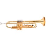 Trompete WTRM48 BB Duplo Dourado - Michael