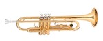 Ficha técnica e caractérísticas do produto Trompete Michael Dual Gold Wtrm48Bb – Duplo Dourado