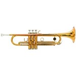 Ficha técnica e caractérísticas do produto Trompete Michael Dual Gold Wtrm68Bb ? Duplo Dourado com Tubos em Alpaca