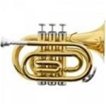 Ficha técnica e caractérísticas do produto Trompete Pocket Bb Hmt-500L Laqueado - Harmonics