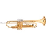 Ficha técnica e caractérísticas do produto Trompete WTRM48 BB Duplo Dourado - Michael