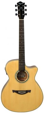 Ficha técnica e caractérísticas do produto Violão Tw-29 Medium Jumbo Eletro Acústico Tagima - Woodstock Acoustic Series Natural Satin