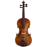 Ficha técnica e caractérísticas do produto Violino 4/4 Alegretto Nhureson