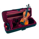 Ficha técnica e caractérísticas do produto Violino 4/4 Ébano Séries VNM49 com 2 Arcos e Espaleira - Michael