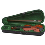 Ficha técnica e caractérísticas do produto Violino 4/4 Giannini Sv