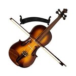 Violino 4/4 Profissional Sombreado Brilho Rolim Orquestra Al + Acessórios