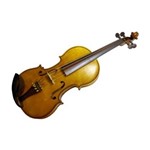Ficha técnica e caractérísticas do produto Violino 4/4 Série Especial Nhureson Showroom