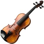 Ficha técnica e caractérísticas do produto Violino 4/4 Tradicional Michael Vnm49 C/ Estojo Profissional