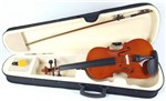 Ficha técnica e caractérísticas do produto Violino 3/4 Rajado com Estojo - Custom