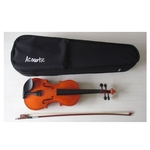 Ficha técnica e caractérísticas do produto Violino Acoustic Fosco 4/4 Vdm44 Satin