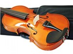 Ficha técnica e caractérísticas do produto Violino Barth Violin NT 4/4 - C/ Estojo+Arco+Breu - Barth Violins