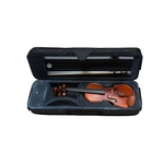 Ficha técnica e caractérísticas do produto Violino Classico 3/4 Dominante Concert