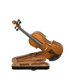 Ficha técnica e caractérísticas do produto Violino Dominante 3/4 Estudante Completo