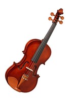 Ficha técnica e caractérísticas do produto Violino Hofma Hve241 4/4 Estudante Completo