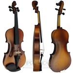 Ficha técnica e caractérísticas do produto Violino Hoyden VHE14N Fosco 1/4