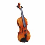 Ficha técnica e caractérísticas do produto Violino Profissional Jahnke JVI301 4/4 Natural Brilho