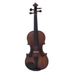 Ficha técnica e caractérísticas do produto Violino Prowinds 4/4 #PW1000 4/4