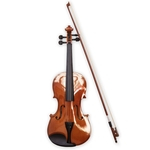 Ficha técnica e caractérísticas do produto Violino Spring 3/4 Vs-34