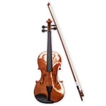 Ficha técnica e caractérísticas do produto Violino Spring Vs-44 4/4 Natural